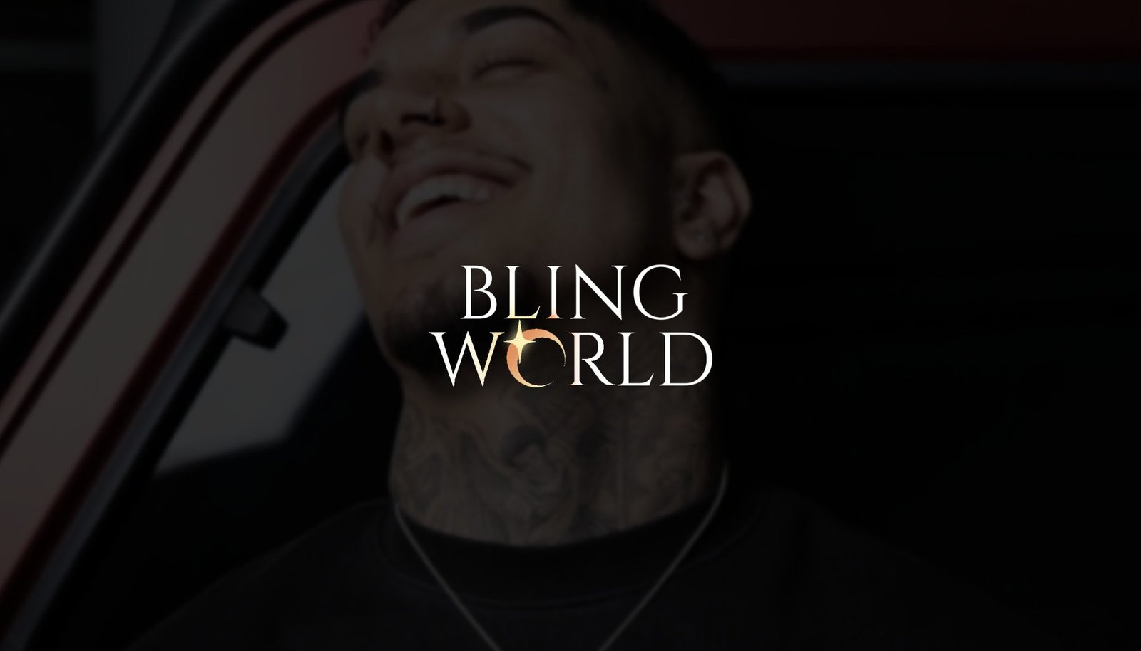 Aplicações da identidade visual desenvolvida para a marca de joias Bling World